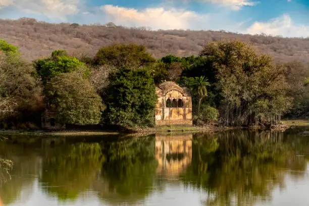 Raj Bagh Ruins