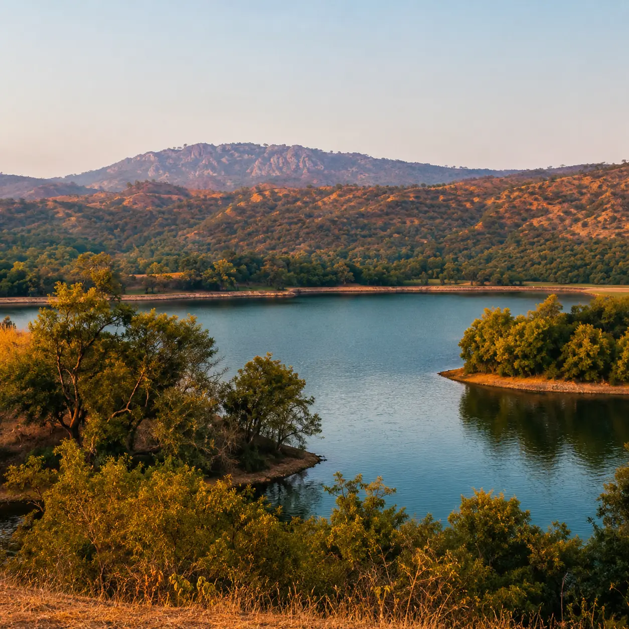 Serene Lakes