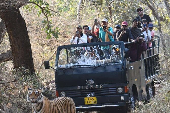 Book Ranthambore Canter Safari — Ranthambore National Park
